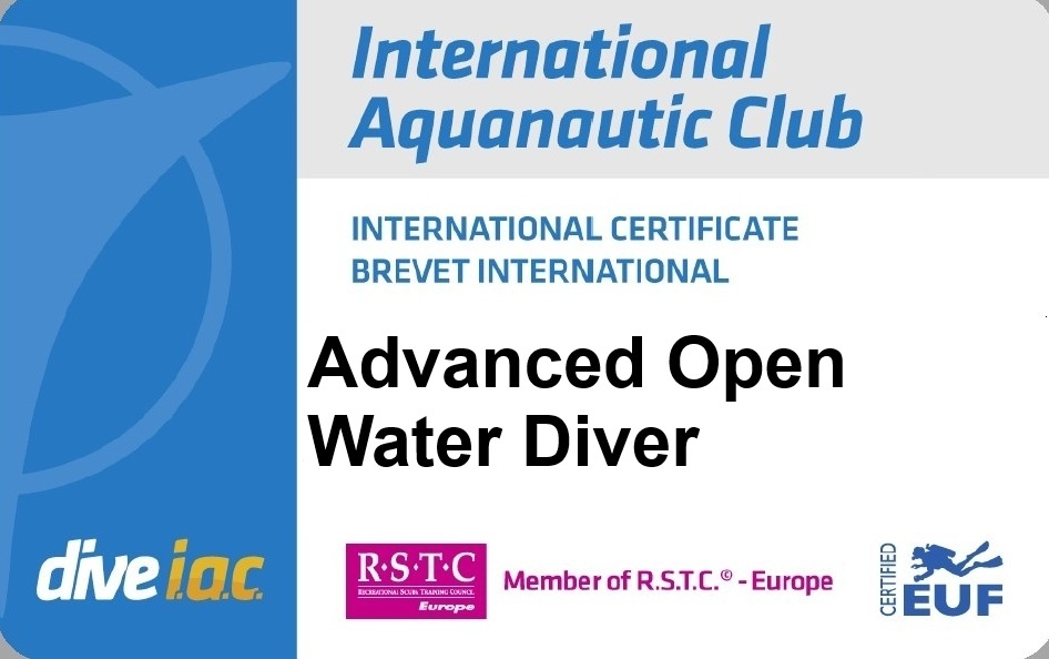 iac Logo